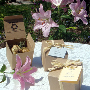 flower bulb favors in eco gift boxes