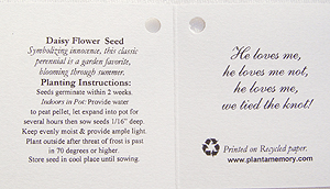 Shasta Daisy Flower Seed Card